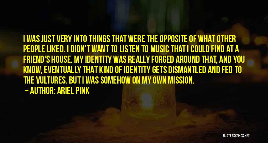 Ariel Pink Quotes: I Was Just Very Into Things That Were The Opposite Of What Other People Liked. I Didn't Want To Listen