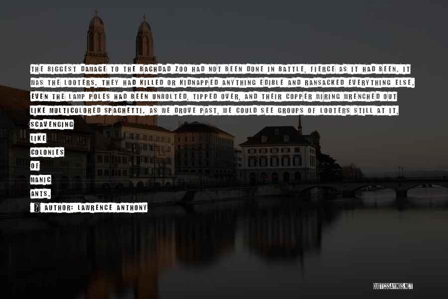 Lawrence Anthony Quotes: The Biggest Damage To The Baghdad Zoo Had Not Been Done In Battle, Fierce As It Had Been. It Was