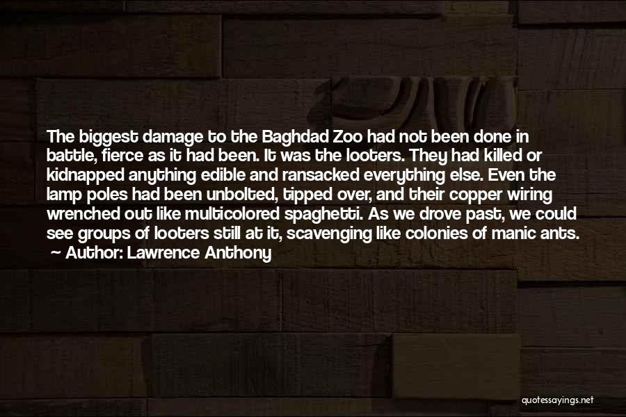Lawrence Anthony Quotes: The Biggest Damage To The Baghdad Zoo Had Not Been Done In Battle, Fierce As It Had Been. It Was