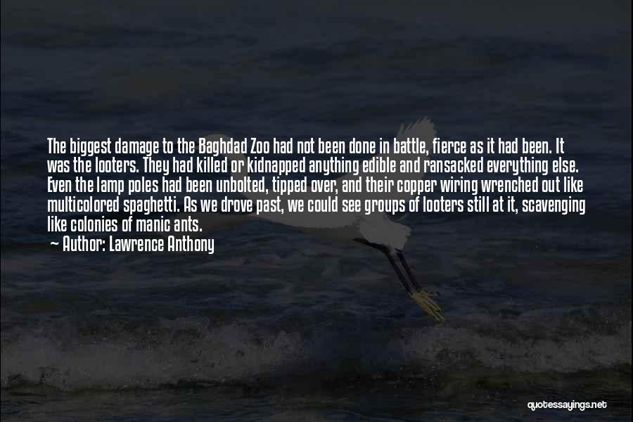 Lawrence Anthony Quotes: The Biggest Damage To The Baghdad Zoo Had Not Been Done In Battle, Fierce As It Had Been. It Was