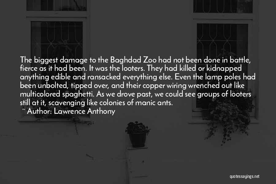 Lawrence Anthony Quotes: The Biggest Damage To The Baghdad Zoo Had Not Been Done In Battle, Fierce As It Had Been. It Was