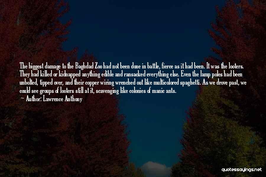 Lawrence Anthony Quotes: The Biggest Damage To The Baghdad Zoo Had Not Been Done In Battle, Fierce As It Had Been. It Was