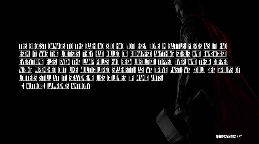 Lawrence Anthony Quotes: The Biggest Damage To The Baghdad Zoo Had Not Been Done In Battle, Fierce As It Had Been. It Was