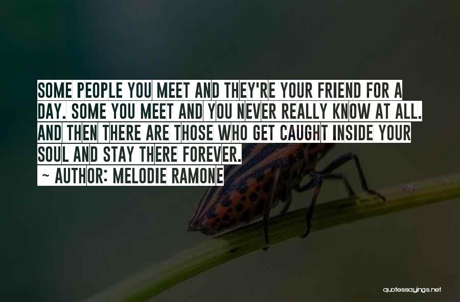 Melodie Ramone Quotes: Some People You Meet And They're Your Friend For A Day. Some You Meet And You Never Really Know At