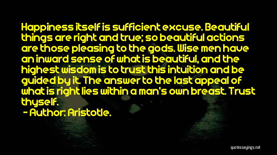Aristotle. Quotes: Happiness Itself Is Sufficient Excuse. Beautiful Things Are Right And True; So Beautiful Actions Are Those Pleasing To The Gods.