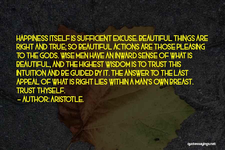 Aristotle. Quotes: Happiness Itself Is Sufficient Excuse. Beautiful Things Are Right And True; So Beautiful Actions Are Those Pleasing To The Gods.