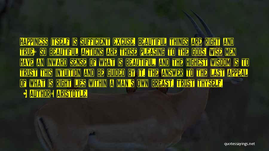 Aristotle. Quotes: Happiness Itself Is Sufficient Excuse. Beautiful Things Are Right And True; So Beautiful Actions Are Those Pleasing To The Gods.
