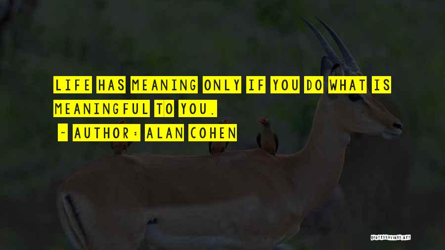 Alan Cohen Quotes: Life Has Meaning Only If You Do What Is Meaningful To You.