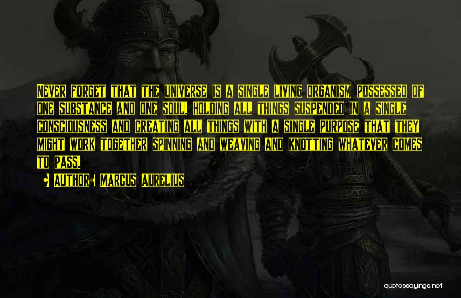 Marcus Aurelius Quotes: Never Forget That The Universe Is A Single Living Organism Possessed Of One Substance And One Soul, Holding All Things