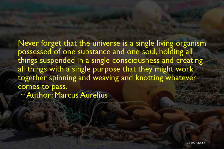 Marcus Aurelius Quotes: Never Forget That The Universe Is A Single Living Organism Possessed Of One Substance And One Soul, Holding All Things