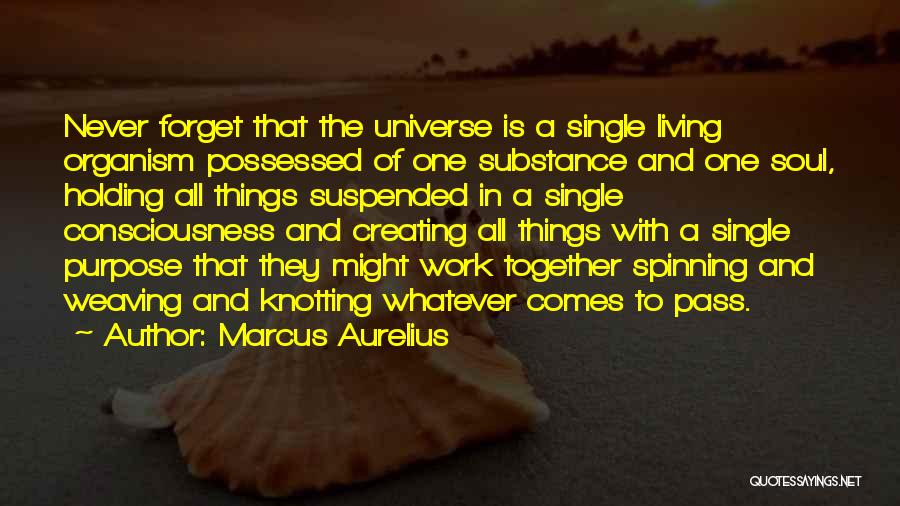 Marcus Aurelius Quotes: Never Forget That The Universe Is A Single Living Organism Possessed Of One Substance And One Soul, Holding All Things