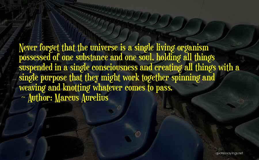 Marcus Aurelius Quotes: Never Forget That The Universe Is A Single Living Organism Possessed Of One Substance And One Soul, Holding All Things