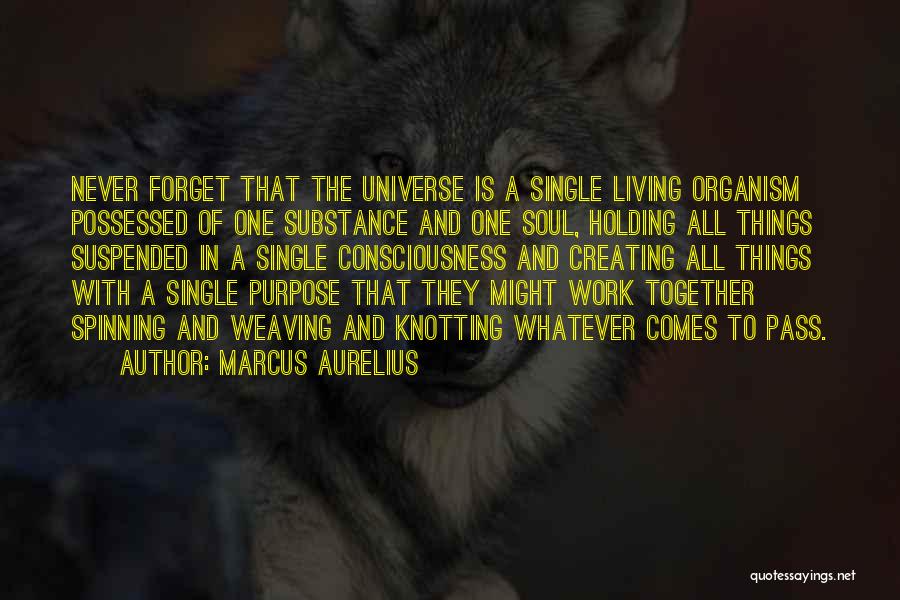 Marcus Aurelius Quotes: Never Forget That The Universe Is A Single Living Organism Possessed Of One Substance And One Soul, Holding All Things