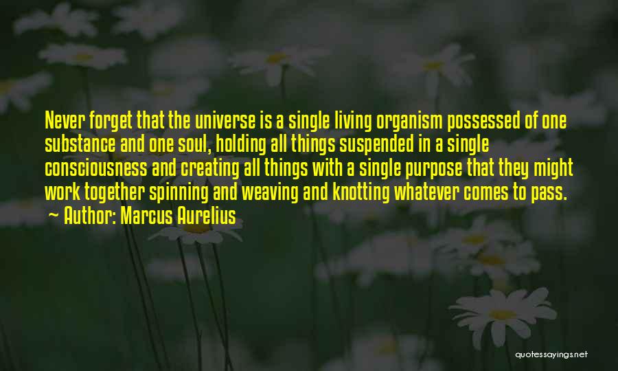 Marcus Aurelius Quotes: Never Forget That The Universe Is A Single Living Organism Possessed Of One Substance And One Soul, Holding All Things