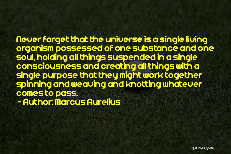 Marcus Aurelius Quotes: Never Forget That The Universe Is A Single Living Organism Possessed Of One Substance And One Soul, Holding All Things