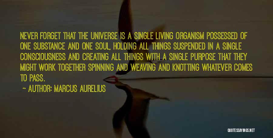 Marcus Aurelius Quotes: Never Forget That The Universe Is A Single Living Organism Possessed Of One Substance And One Soul, Holding All Things