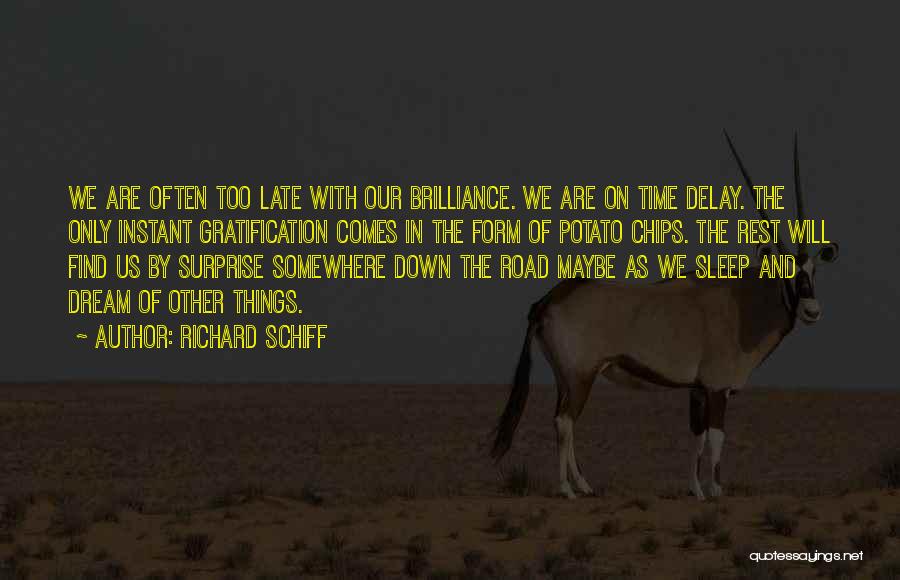 Richard Schiff Quotes: We Are Often Too Late With Our Brilliance. We Are On Time Delay. The Only Instant Gratification Comes In The