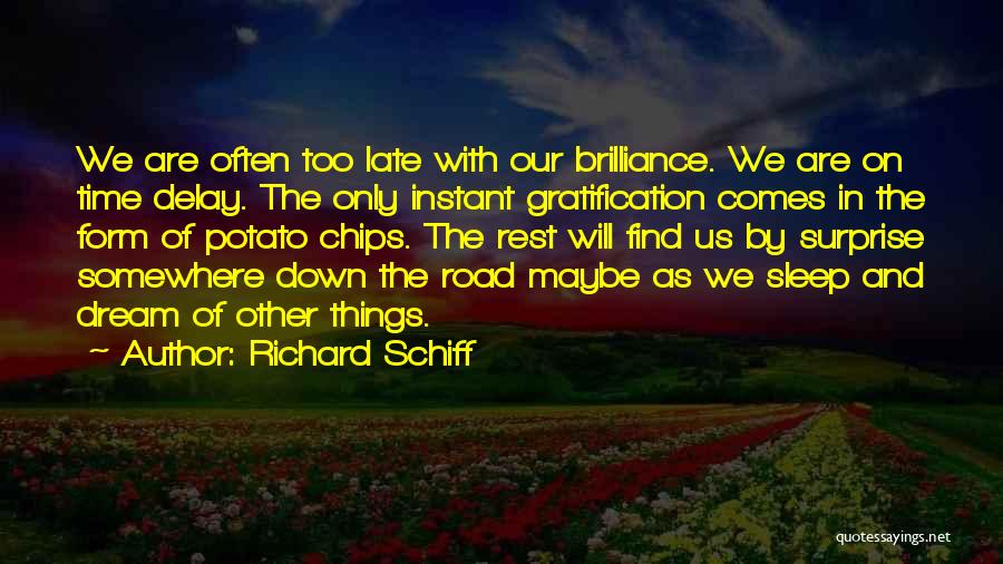 Richard Schiff Quotes: We Are Often Too Late With Our Brilliance. We Are On Time Delay. The Only Instant Gratification Comes In The