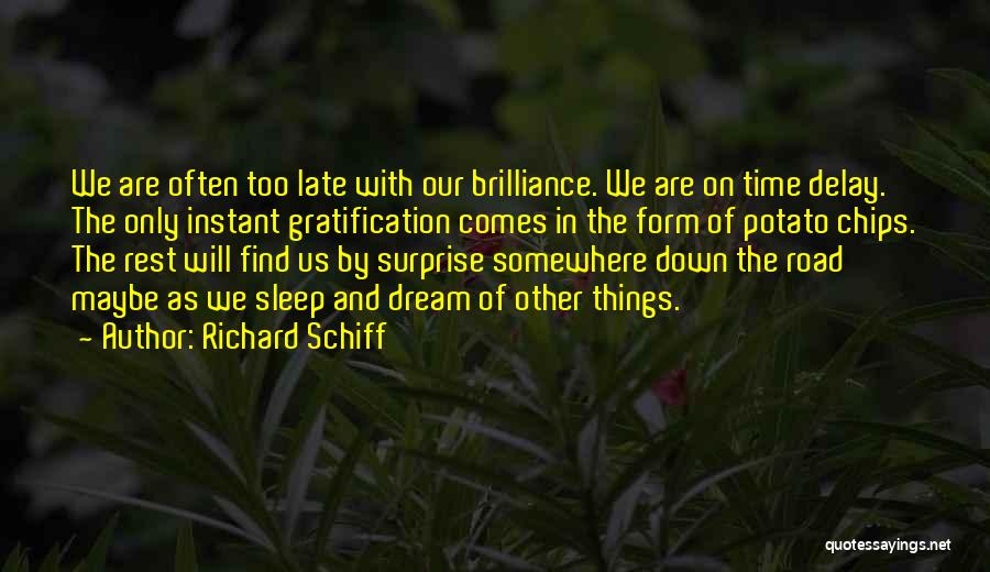 Richard Schiff Quotes: We Are Often Too Late With Our Brilliance. We Are On Time Delay. The Only Instant Gratification Comes In The