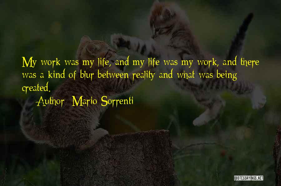 Mario Sorrenti Quotes: My Work Was My Life, And My Life Was My Work, And There Was A Kind Of Blur Between Reality