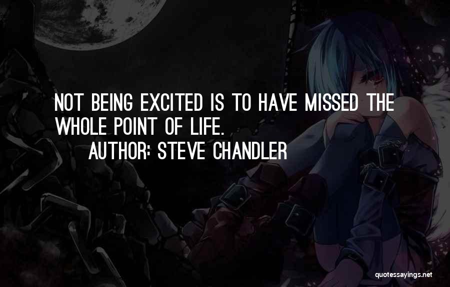 Steve Chandler Quotes: Not Being Excited Is To Have Missed The Whole Point Of Life.