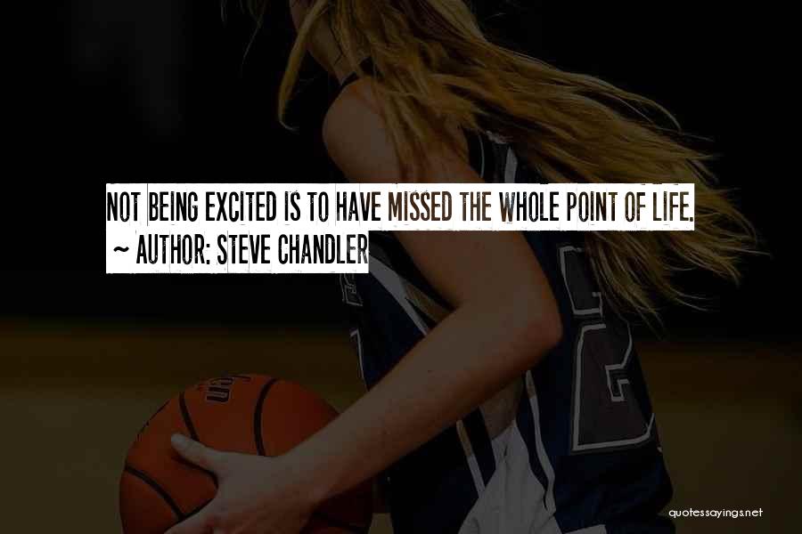 Steve Chandler Quotes: Not Being Excited Is To Have Missed The Whole Point Of Life.