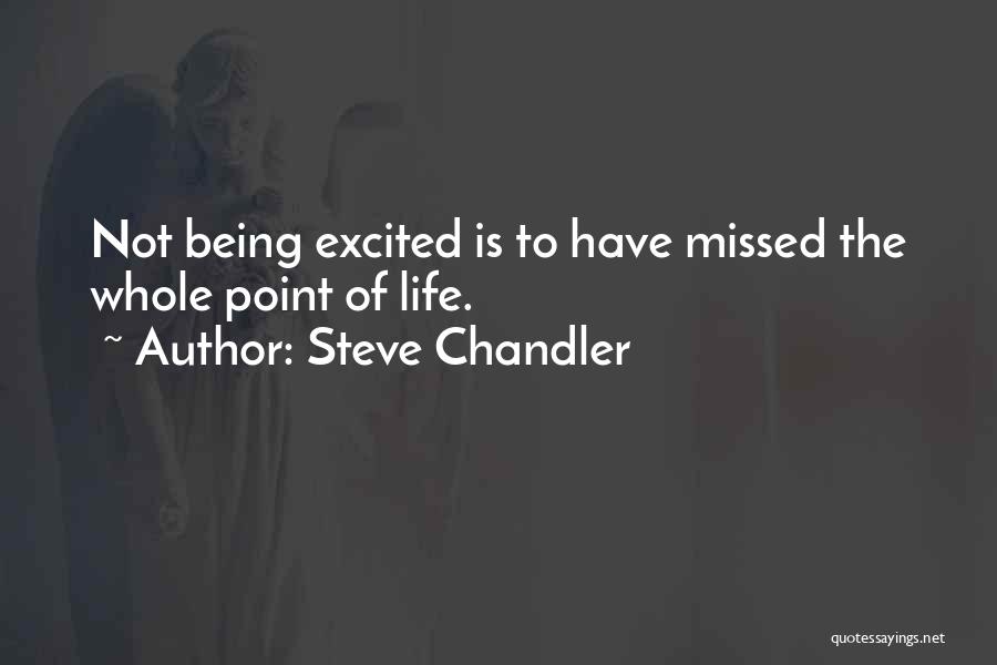 Steve Chandler Quotes: Not Being Excited Is To Have Missed The Whole Point Of Life.