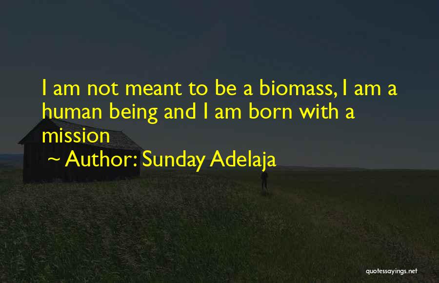 Sunday Adelaja Quotes: I Am Not Meant To Be A Biomass, I Am A Human Being And I Am Born With A Mission