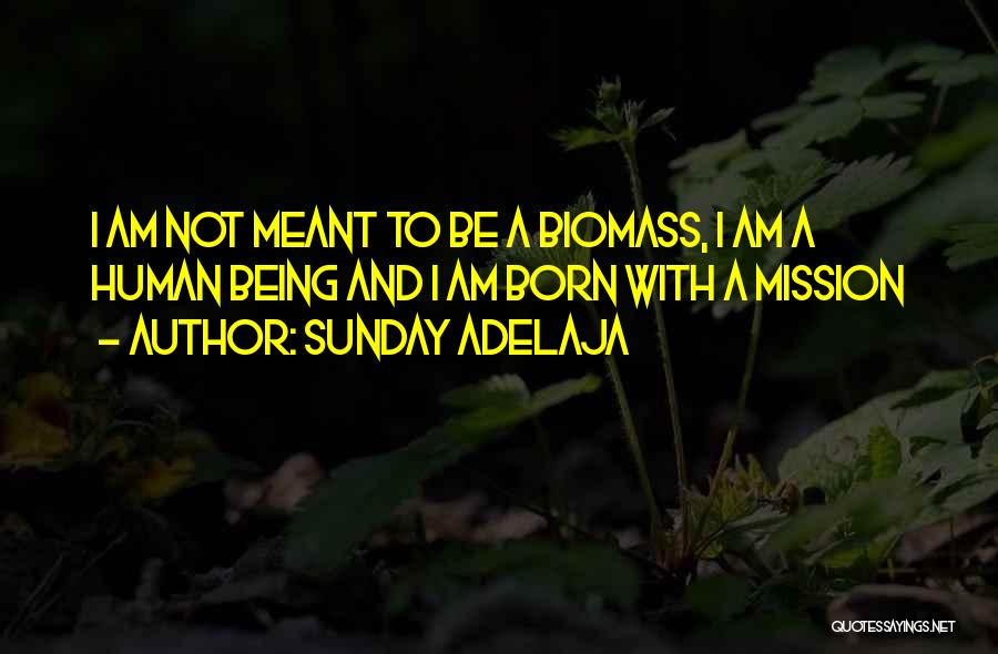 Sunday Adelaja Quotes: I Am Not Meant To Be A Biomass, I Am A Human Being And I Am Born With A Mission