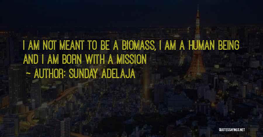 Sunday Adelaja Quotes: I Am Not Meant To Be A Biomass, I Am A Human Being And I Am Born With A Mission