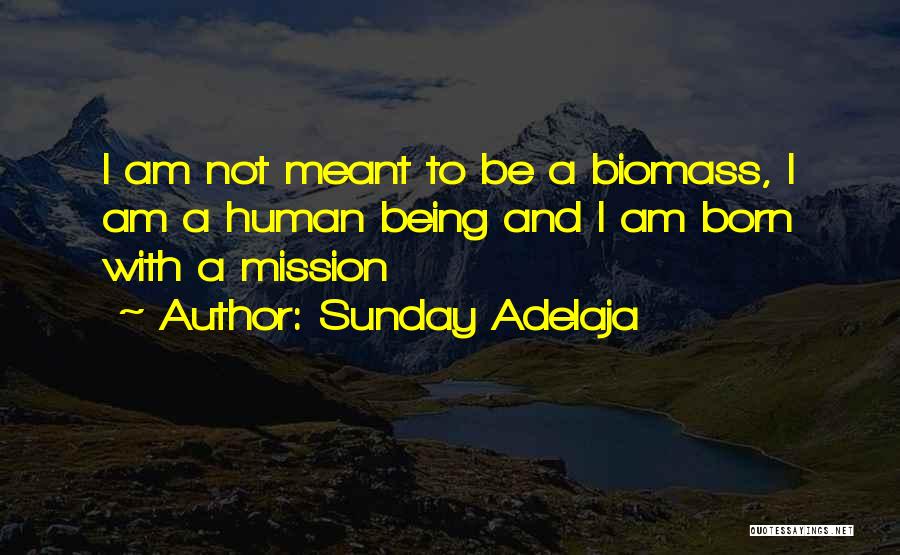 Sunday Adelaja Quotes: I Am Not Meant To Be A Biomass, I Am A Human Being And I Am Born With A Mission