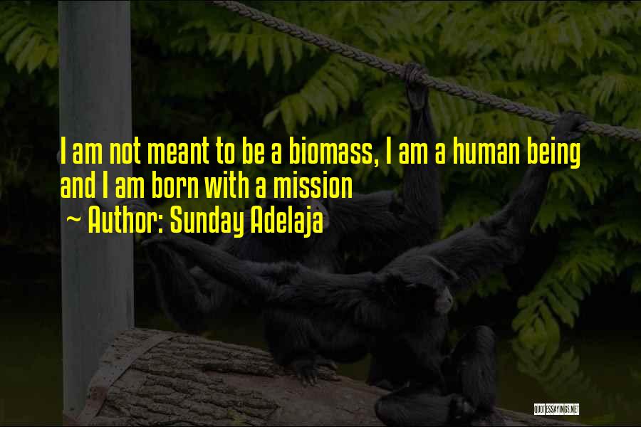 Sunday Adelaja Quotes: I Am Not Meant To Be A Biomass, I Am A Human Being And I Am Born With A Mission