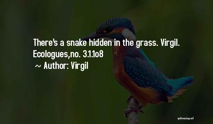 Virgil Quotes: There's A Snake Hidden In The Grass. Virgil. Ecologues,no. 3.1.1o8