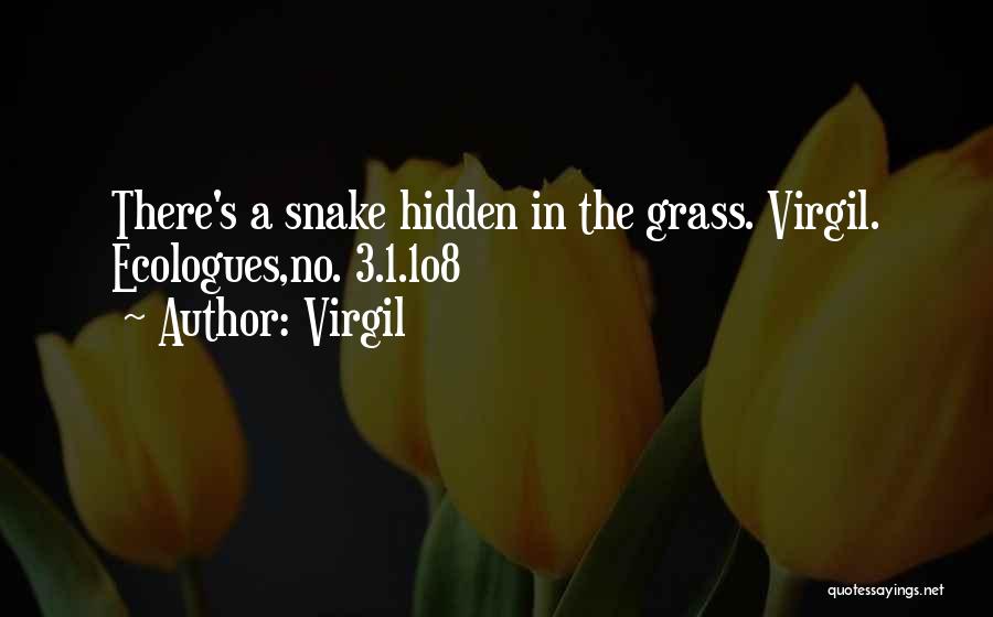 Virgil Quotes: There's A Snake Hidden In The Grass. Virgil. Ecologues,no. 3.1.1o8