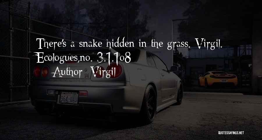 Virgil Quotes: There's A Snake Hidden In The Grass. Virgil. Ecologues,no. 3.1.1o8