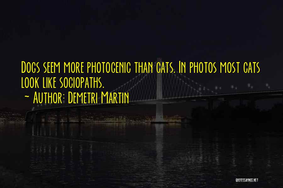 Demetri Martin Quotes: Dogs Seem More Photogenic Than Cats. In Photos Most Cats Look Like Sociopaths.