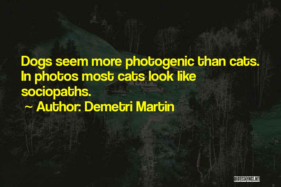 Demetri Martin Quotes: Dogs Seem More Photogenic Than Cats. In Photos Most Cats Look Like Sociopaths.