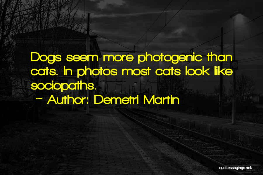 Demetri Martin Quotes: Dogs Seem More Photogenic Than Cats. In Photos Most Cats Look Like Sociopaths.
