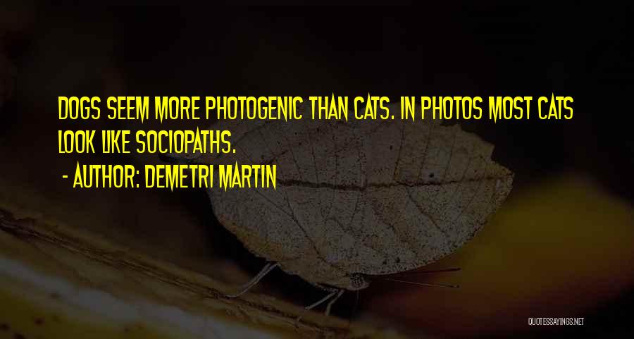 Demetri Martin Quotes: Dogs Seem More Photogenic Than Cats. In Photos Most Cats Look Like Sociopaths.