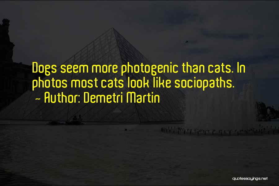 Demetri Martin Quotes: Dogs Seem More Photogenic Than Cats. In Photos Most Cats Look Like Sociopaths.