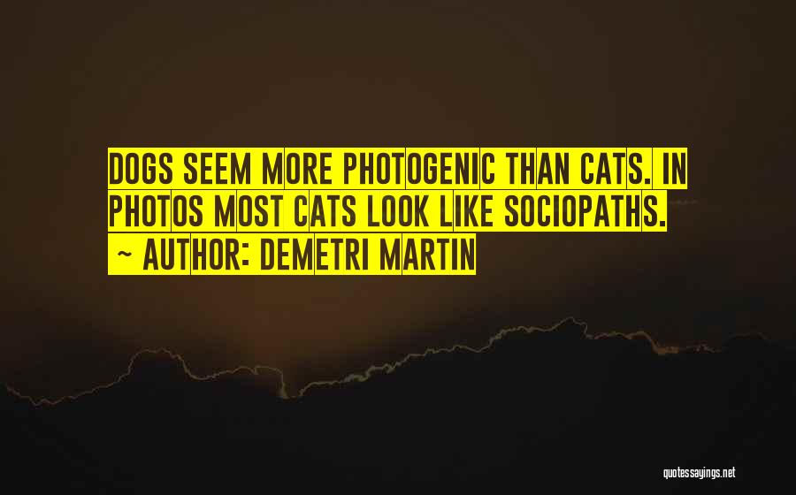 Demetri Martin Quotes: Dogs Seem More Photogenic Than Cats. In Photos Most Cats Look Like Sociopaths.