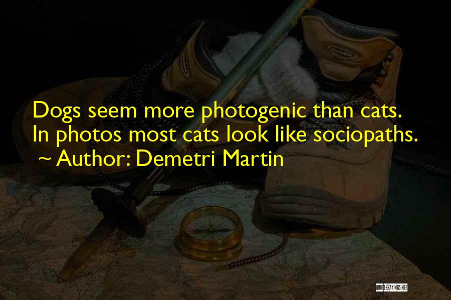 Demetri Martin Quotes: Dogs Seem More Photogenic Than Cats. In Photos Most Cats Look Like Sociopaths.