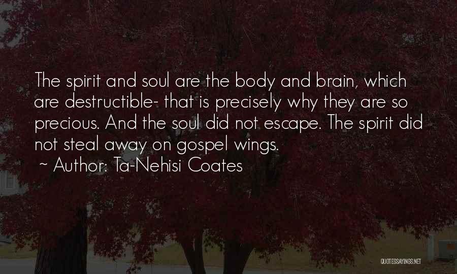 Ta-Nehisi Coates Quotes: The Spirit And Soul Are The Body And Brain, Which Are Destructible- That Is Precisely Why They Are So Precious.