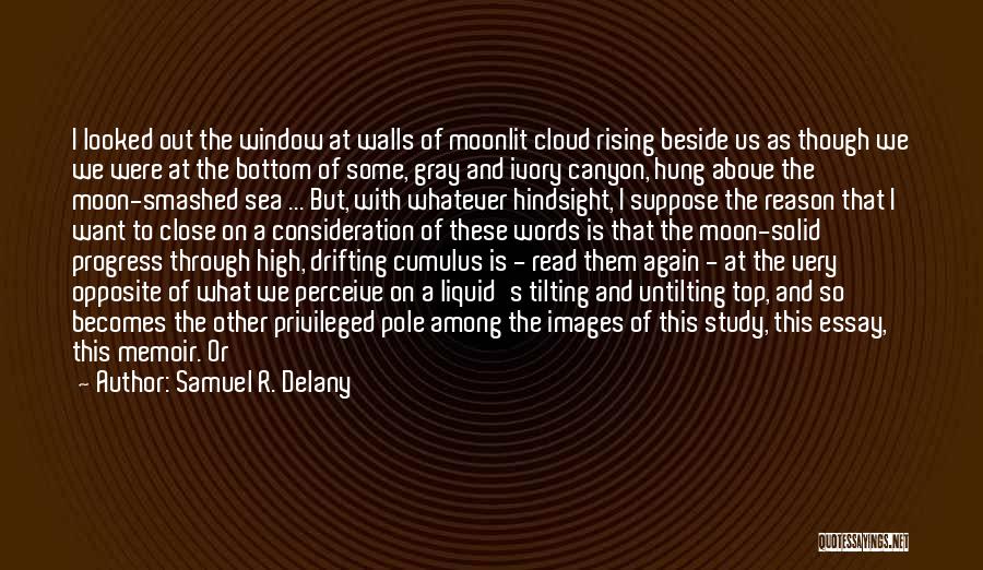 Samuel R. Delany Quotes: I Looked Out The Window At Walls Of Moonlit Cloud Rising Beside Us As Though We We Were At The