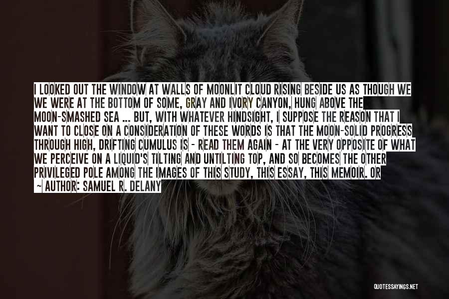 Samuel R. Delany Quotes: I Looked Out The Window At Walls Of Moonlit Cloud Rising Beside Us As Though We We Were At The