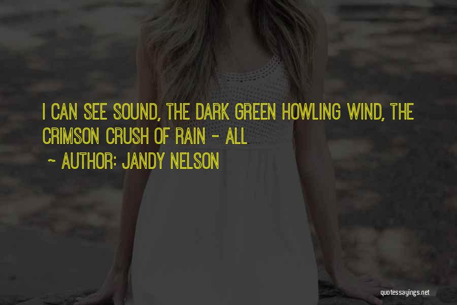 Jandy Nelson Quotes: I Can See Sound, The Dark Green Howling Wind, The Crimson Crush Of Rain - All