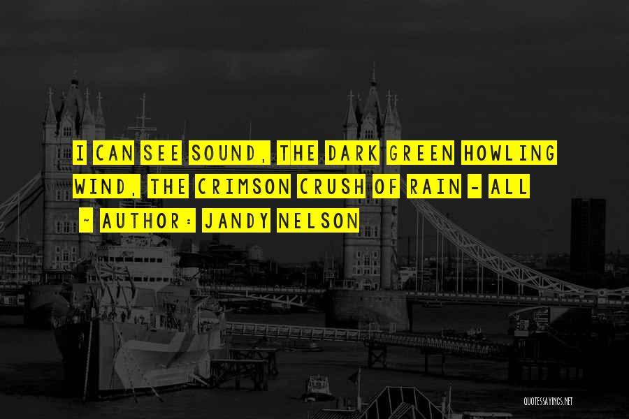 Jandy Nelson Quotes: I Can See Sound, The Dark Green Howling Wind, The Crimson Crush Of Rain - All