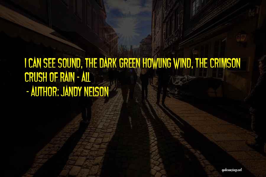 Jandy Nelson Quotes: I Can See Sound, The Dark Green Howling Wind, The Crimson Crush Of Rain - All
