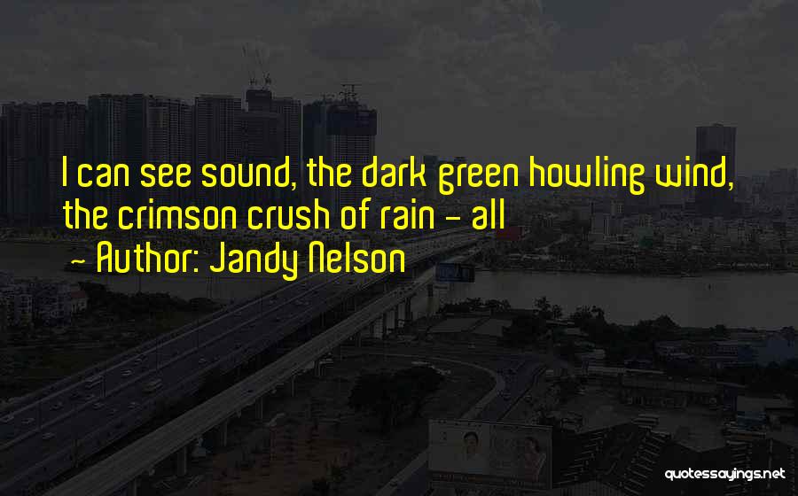 Jandy Nelson Quotes: I Can See Sound, The Dark Green Howling Wind, The Crimson Crush Of Rain - All