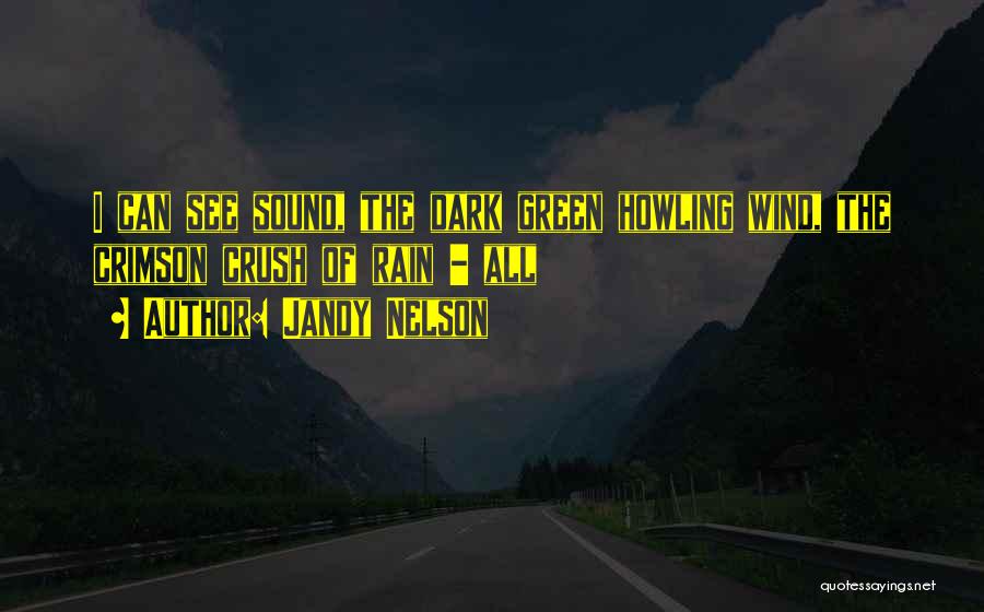 Jandy Nelson Quotes: I Can See Sound, The Dark Green Howling Wind, The Crimson Crush Of Rain - All